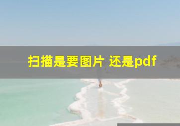 扫描是要图片 还是pdf